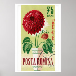 Rumänischer Briefmarkenaufdruck Rote Dahlienblume Poster
