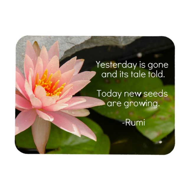 Rumi Magnet mit Pink-Lotus-Blume (Horizontal)