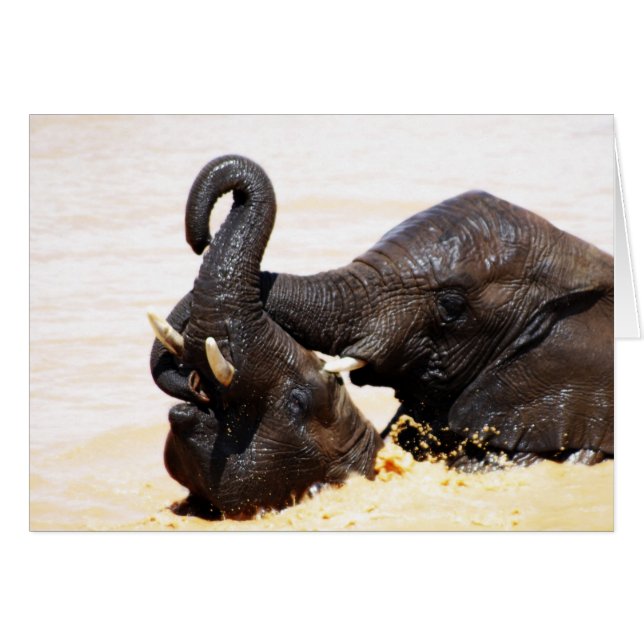 Rumi Soul joy (Vorderseite (Horizontal))