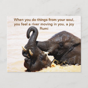 Rumi Soul joy Ankündigungspostkarte
