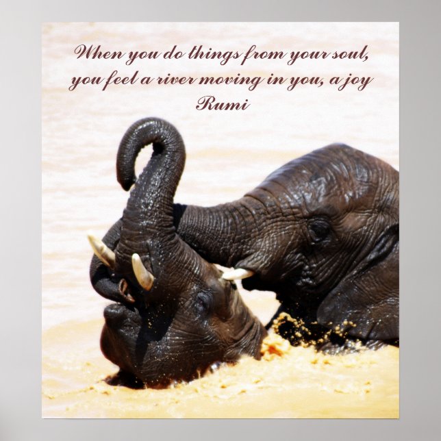 Rumi Soul joy Poster (Vorne)