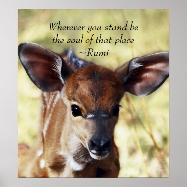 Rumi Wherever, du stehst Poster (Vorne)