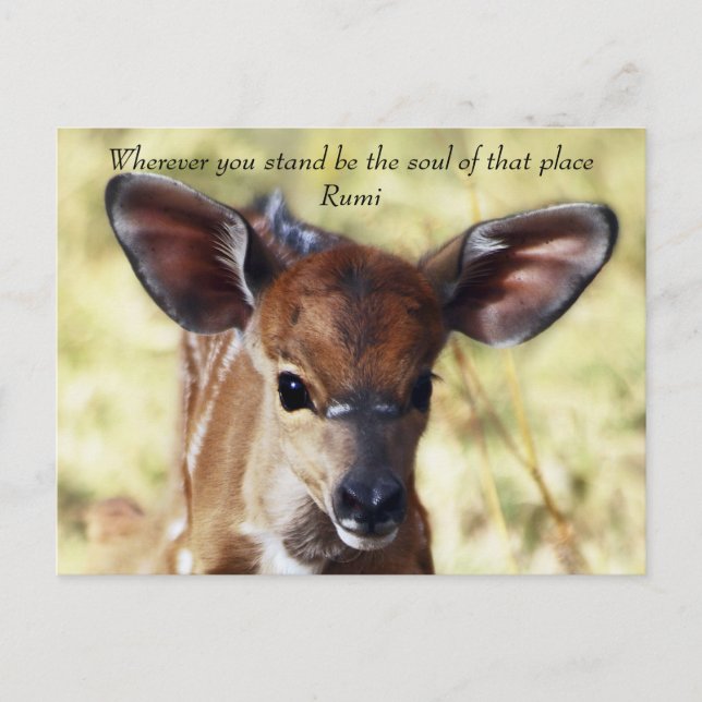 Rumi Wherever, du stehst Postkarte (Vorderseite)