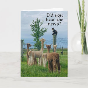 RUMOR IST, DASS **65. GEBURTSTAG** NICHT SO SCHLEC KARTE