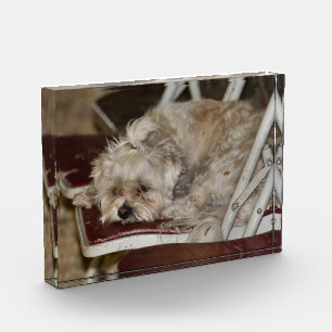 Rumpel Fotoblock