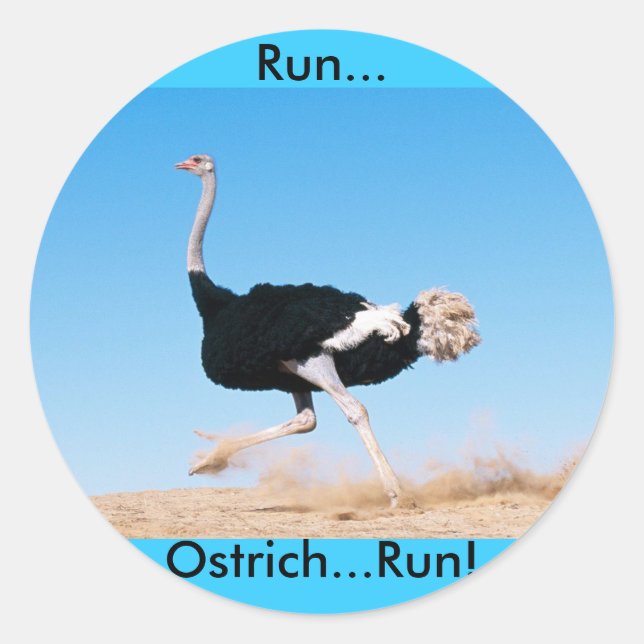 Run Ostrich Run Sticker (Vorderseite)
