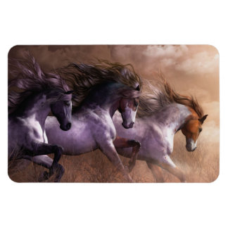 Run to Freedom Premium Flexi Magnet