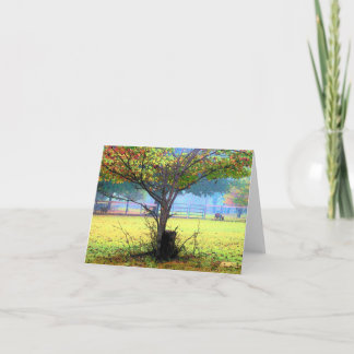 Runamuk Ranch Art Mitteilungskarten (innen leer)