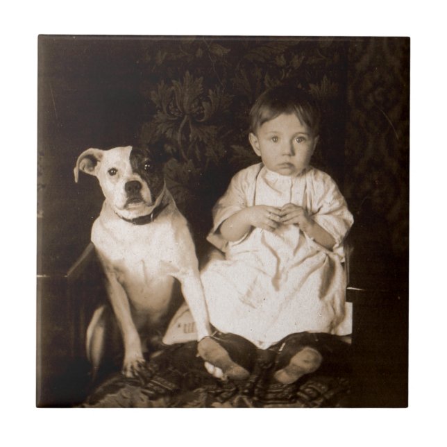 Rund 1910 Pitbull und Baby Fliese (Vorderseite)