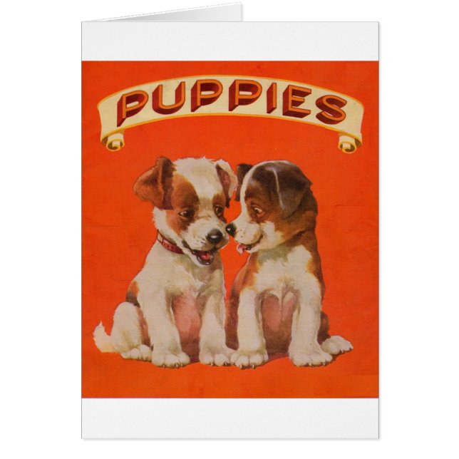 RUND 1934 PUPPIES (Vorne)