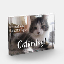 Rund hier Jeden Tag Niedliche Cat-Vorlage