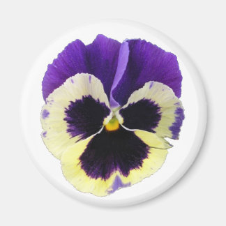 Rund Lila und gelb Pansy Magnet