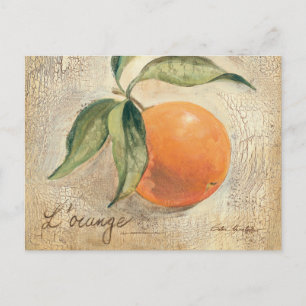 Rund Shiny Orange Frucht Postkarte