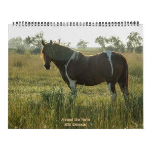 Rund um den Bauernhof Kalender