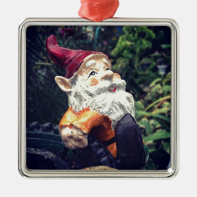 Rund um den Gnome im Garten. Silbernes Ornament (Vorne)