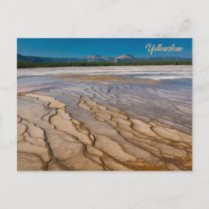Rund um den Grand Prismatic Spring Yellowstone Postkarte