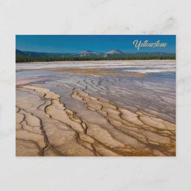 Rund um den Grand Prismatic Spring Yellowstone Postkarte (Vorderseite)
