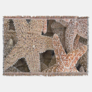 Rund um die Starfish Decke