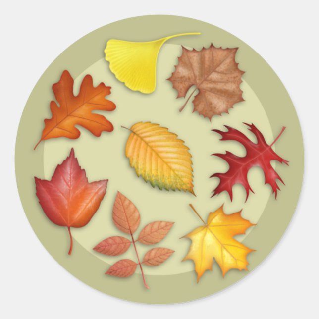 Rundaufkleber für Herbstleaale Runder Aufkleber (Vorderseite)