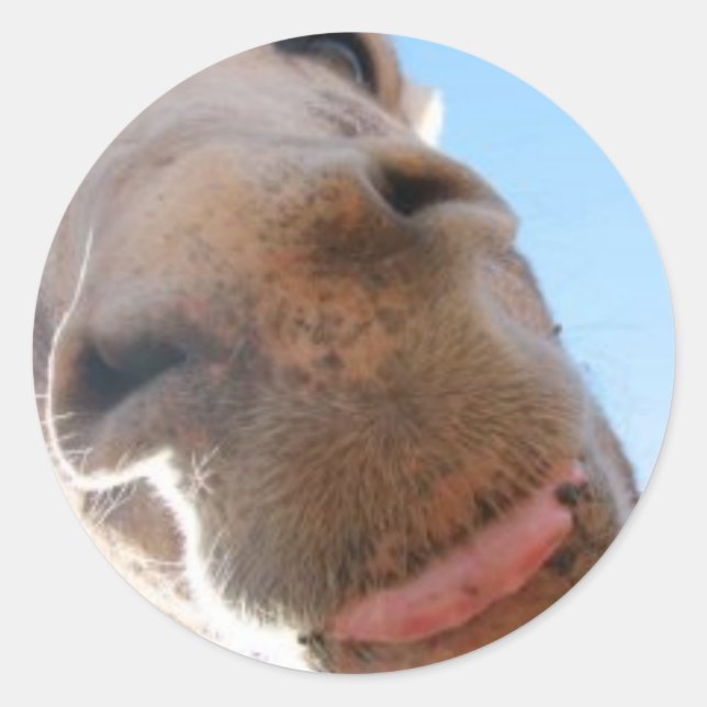 Rundaufkleber - Spike Runder Aufkleber (Vorderseite)