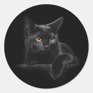 Runde Aufkleber für schwarze Katzen