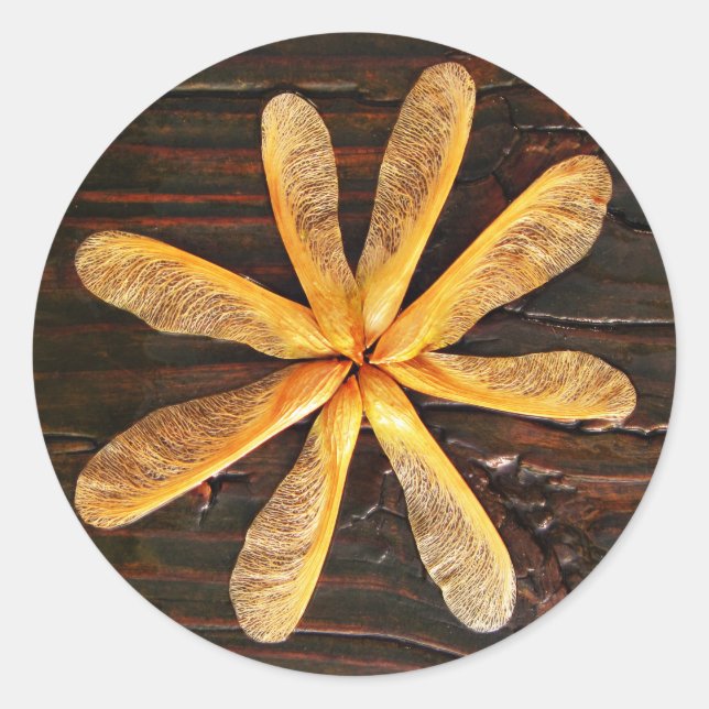 Runde der Ahornhaut Runder Aufkleber (Vorderseite)