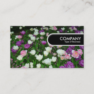 Runde Kante - farbenfrohe Tulpen Visitenkarte