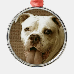Runde Verzierung der amerikanischen Bulldogge Ornament Aus Metall
