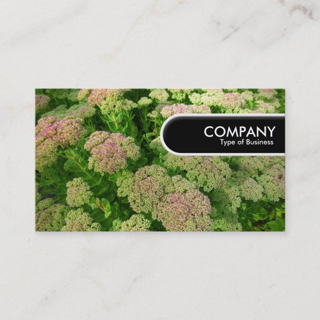 Runded Edge Tag - Sedum "Herbstfreude" (Vorderseite)