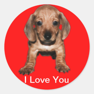 Runder Calcomanía teckel Aufkleber