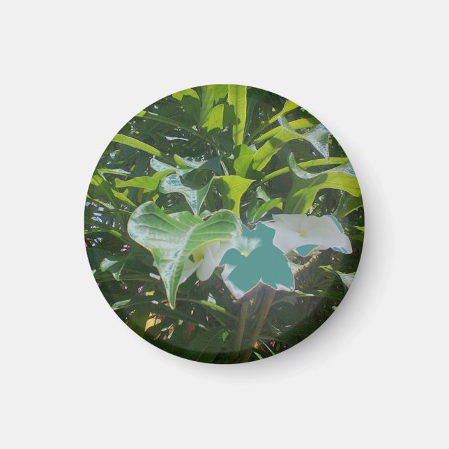 Runder Foto Magnet (Vorne)