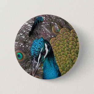 Runder Knopf Button