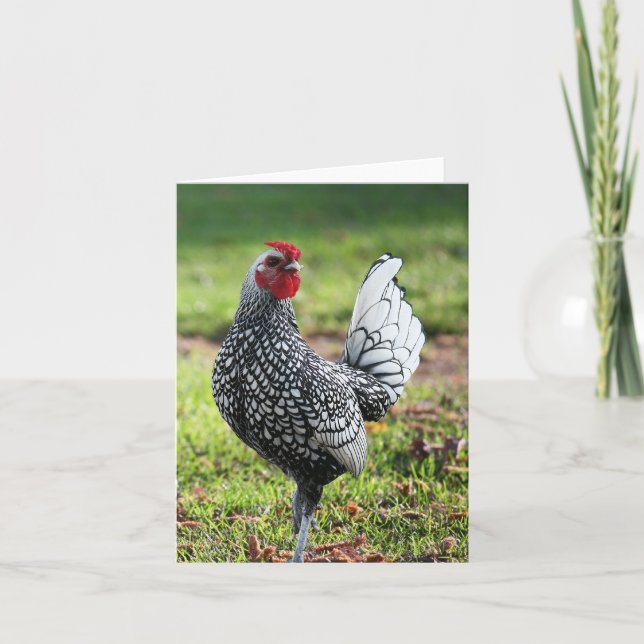 Runder, leere Karte (Vorderseite)