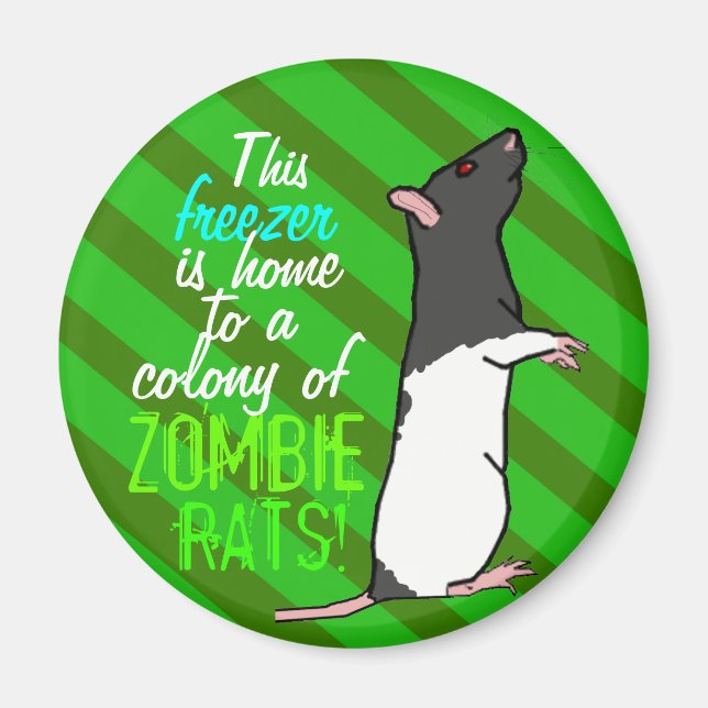 Runder Magnet der Zombie-Ratte (schwarze Haube-Rat (Vorne)