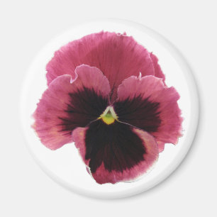 Runder roter Pansy-Magnet Magnet