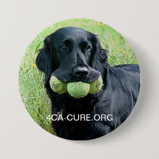 Rundes Casey Button