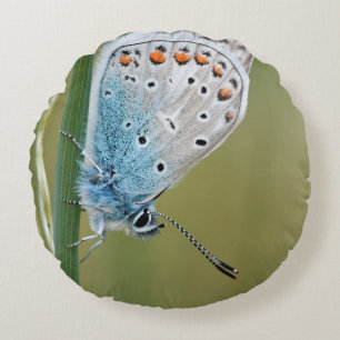 Rundes Dekokissen (41 cm)