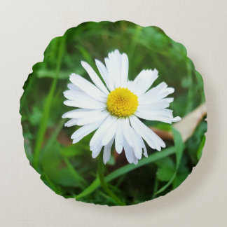 Rundes Dekorationskissen, Margeritenmotiv Kissen