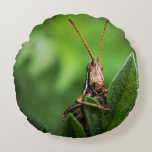 Rundes Kissen (40 cm)