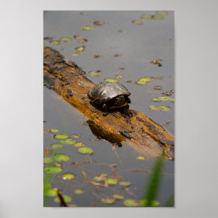 Rundgang, Inniswood Metro Gardens, Ohio Poster