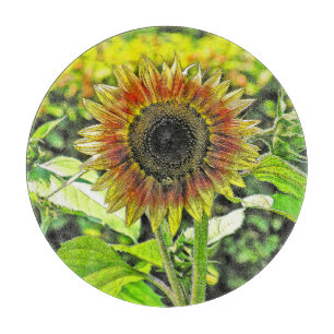 RUNDGLAS-SCHNITTSTELLE "SONNENFLOWER" SCHNEIDEBRETT