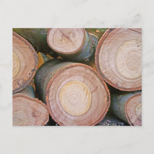 Rundholz Postkarte