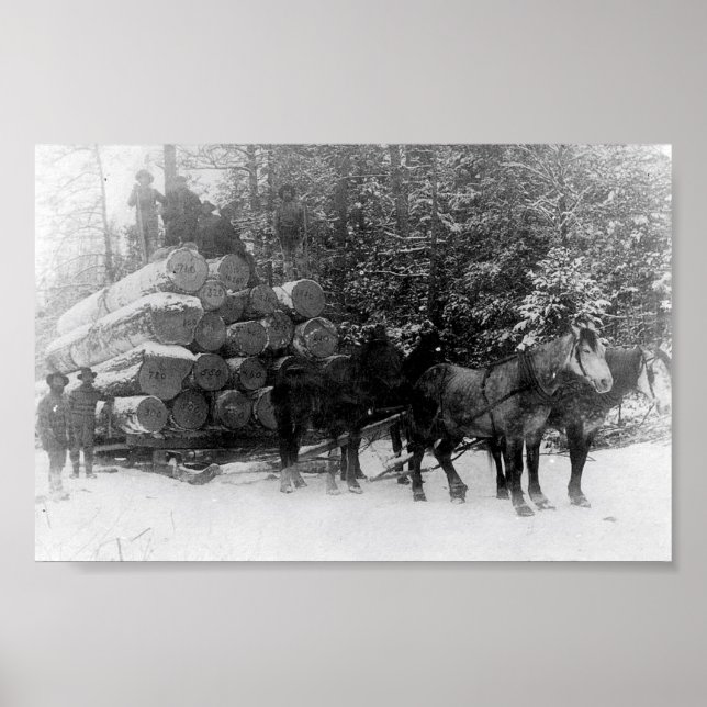 Rundholzverkleidung Poster (Vorne)