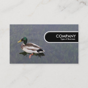 Rundkante Tag - Mallard Duck