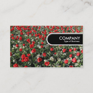Rundkante Tag - Rote Tulips und Primrosen