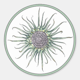 Rundkleber für die Blume Circle und Thistle Runder Aufkleber