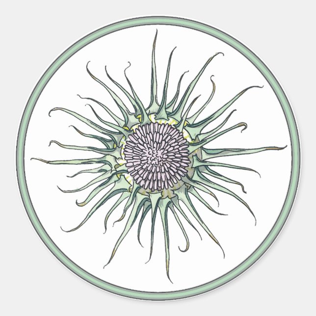 Rundkleber für die Blume Circle und Thistle Runder Aufkleber (Vorderseite)
