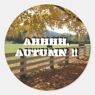 Rundkleber Runder Aufkleber