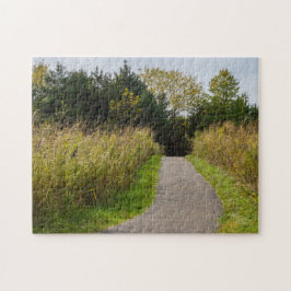 Runge Walkway Puzzle