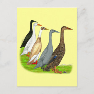 Runner-Duck-Sortiment Postkarte
